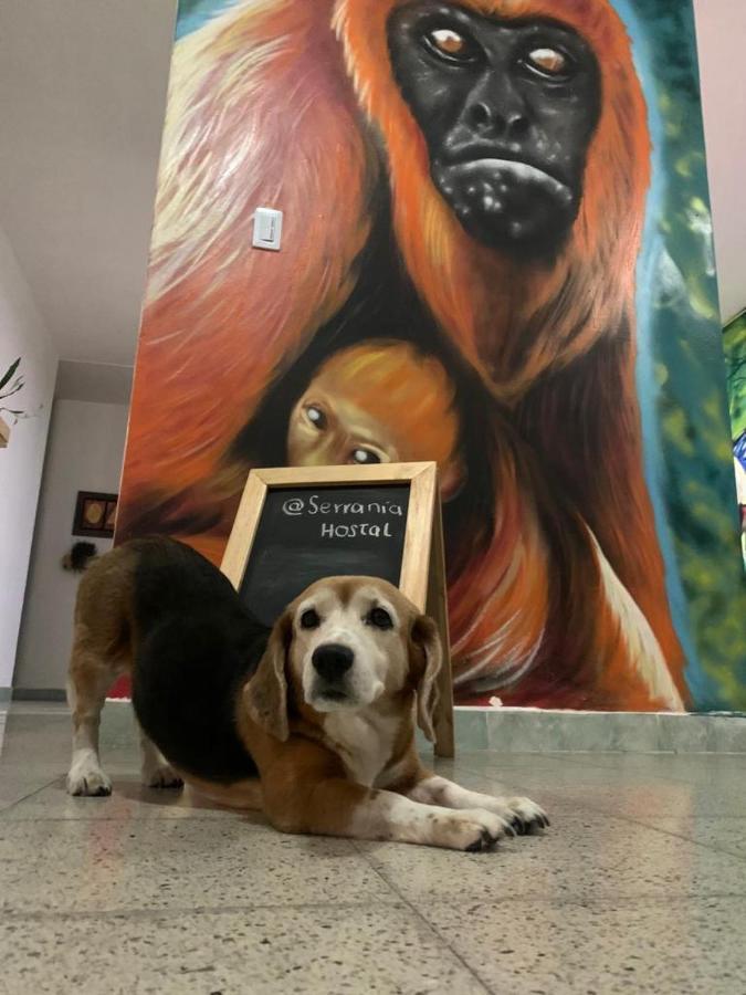 Serrania Hostal Medellín Exteriör bild