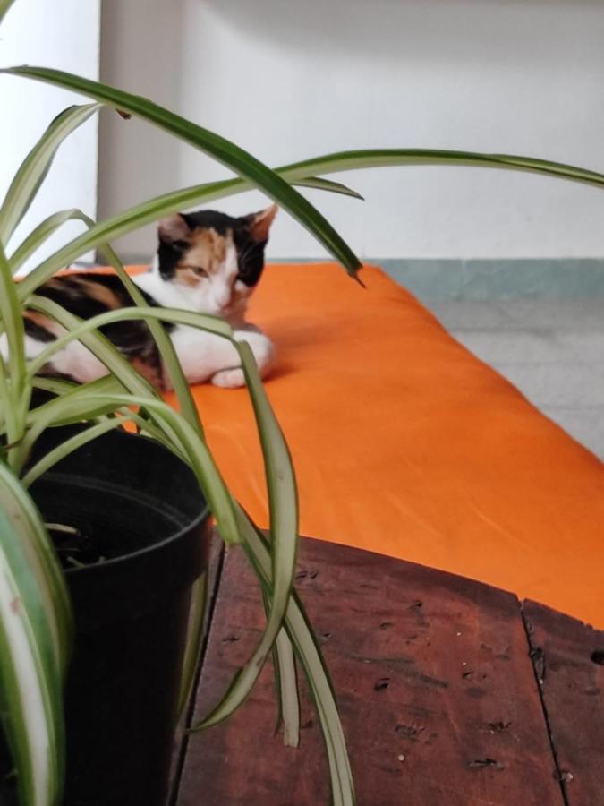 Serrania Hostal Medellín Exteriör bild